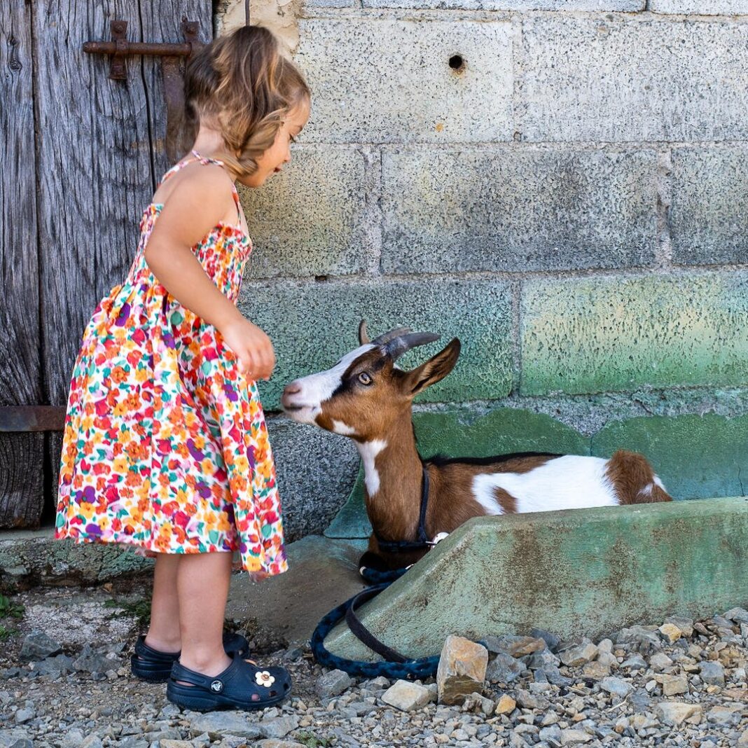 Visite active et pédagogique de la ferme Equi’libre Ferme Équi’libre Angoisse