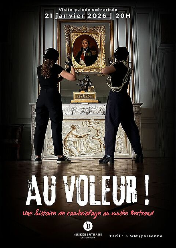 Visite Au voleur !