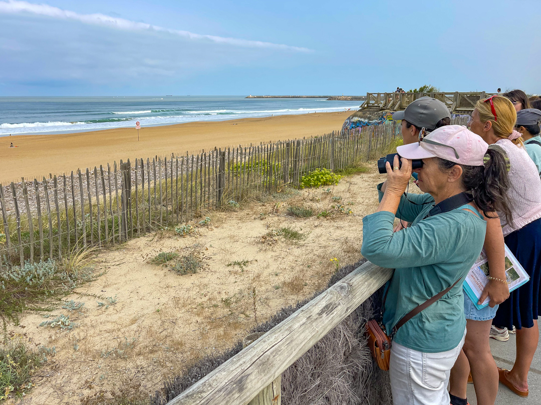 Visite guidée Ecosystèmes dunaires et gestion du littoral angloy