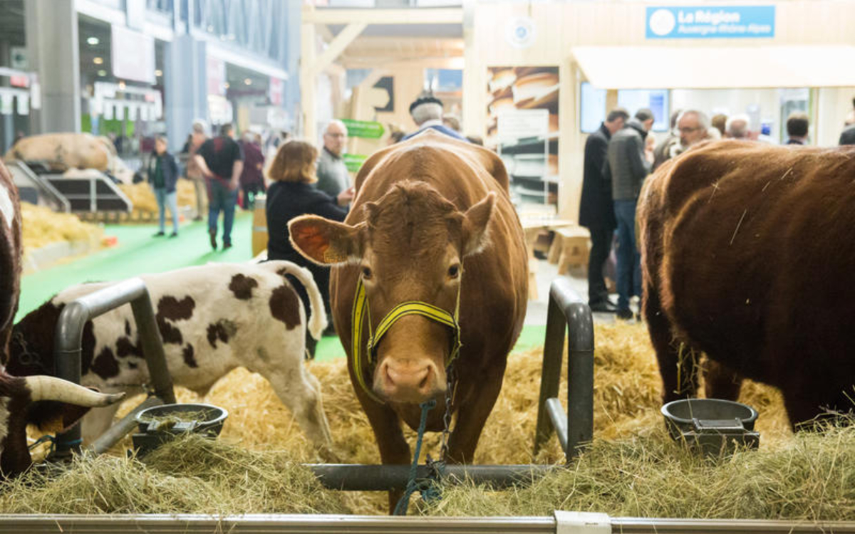 Visitez le Salon de l'Agriculture 2026 Paris Expo  Paris
