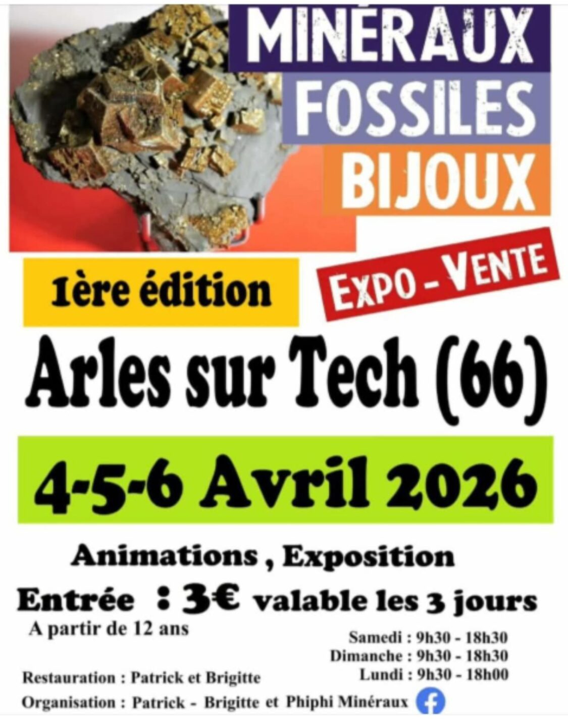 1 ÉDITION EXPO VENTE MINERAUX FOSSILES BIJOUX