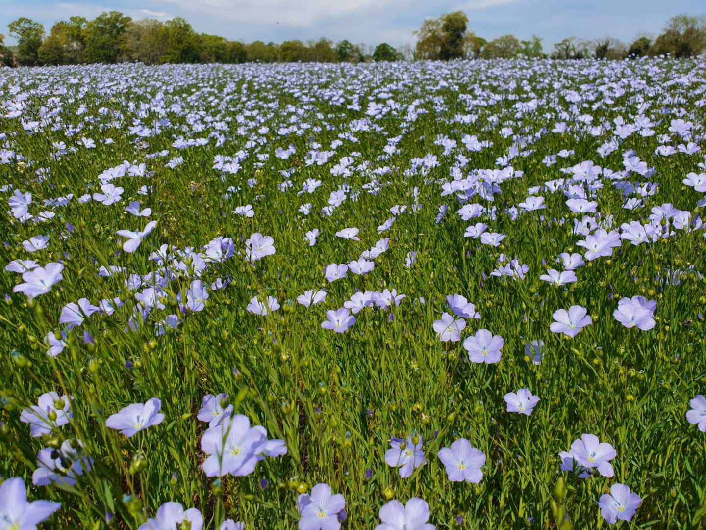 100 lieux 100 massages Ancrage en Pyrénées