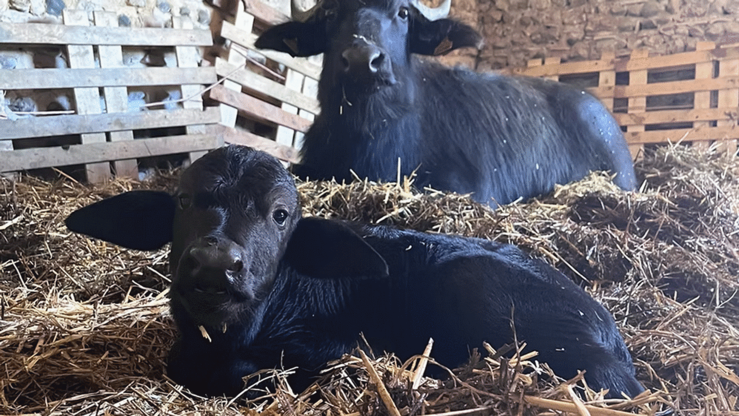 100 lieux 100 massages Ancrage en Pyrénées