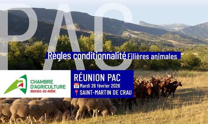 13 - Conditionnalité PAC : tout comprendre pour ne pas perdre 1 euro de ses aides Coopérative les Agneaux du Soleil Saint-Martin-de-Crau