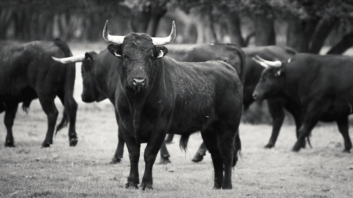 A campo abierto Le Sémaphore Nîmes