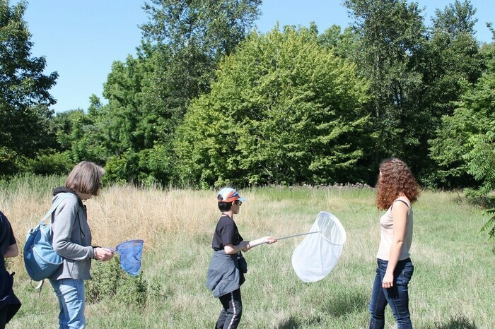 A la découverte des papillons Bordeaux - Lieu de départ communiqué par l'association à l'inscription Bordeaux