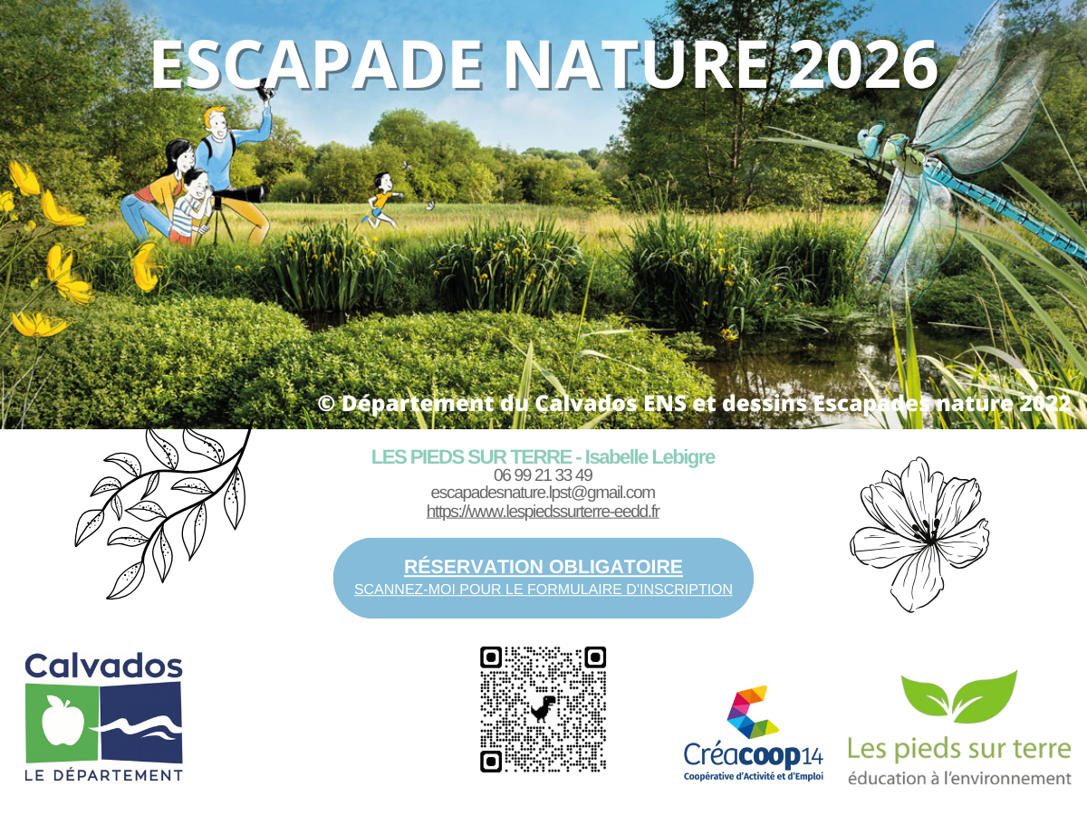 A la découverte des petites bêtes du mont Castel. Carrefour entre rue René Hommet et chemin des Artilleurs Port-en-Bessin-Huppain 2026-05-20 A la découverte des petites bêtes du mont Castel.