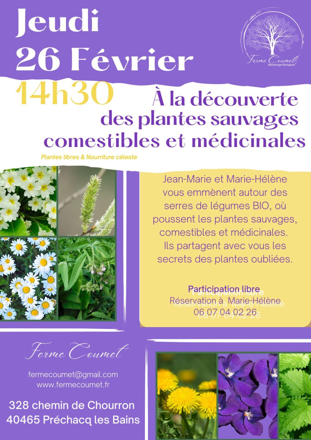 A la découverte des plantes sauvages
