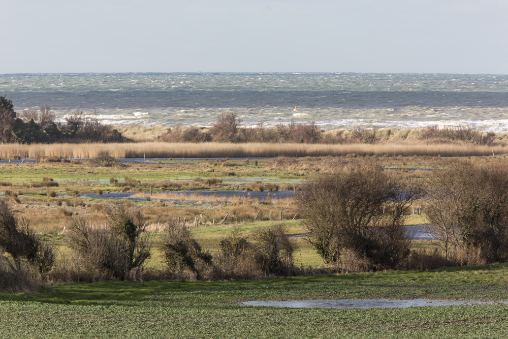A la découverte des trésors du marais de Ver-sur-Mer/ Meuvaines.