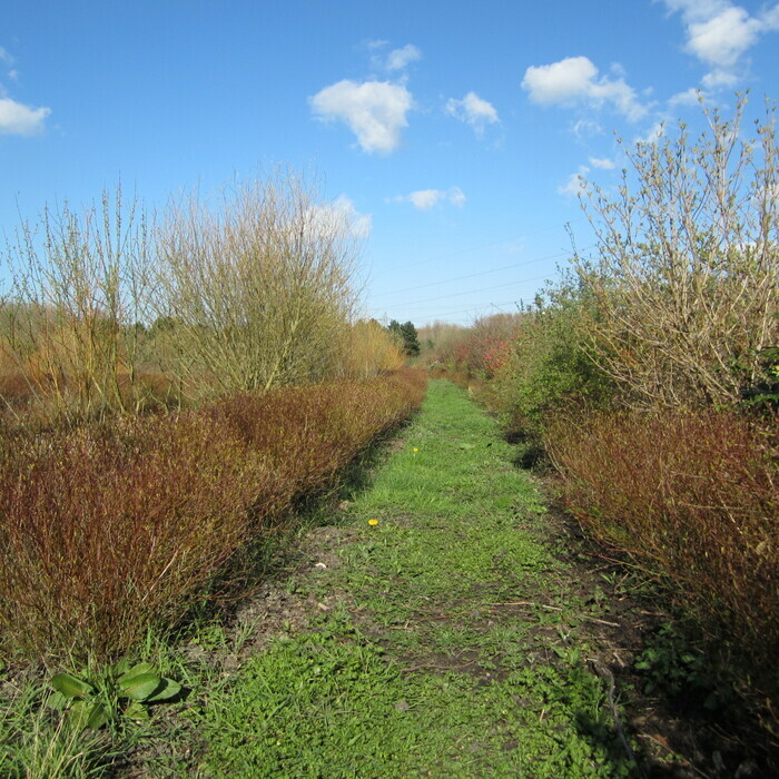 A la découverte du Petit Prédembourg. Ferme des jésuites Dunkerque