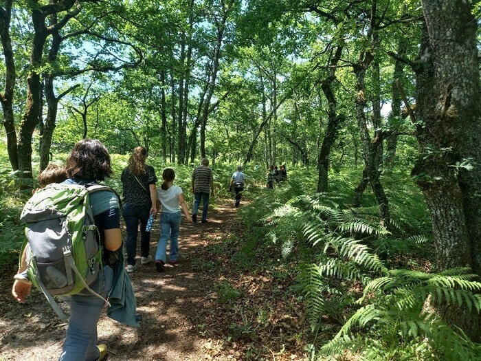 A la recherche de la plume perdue de Sisi la Cigogne Parempuyre - Lieu de départ communiqué par l'association à l'inscription Parempuyre