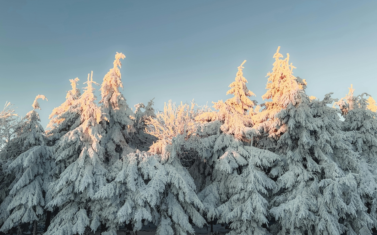 Accueil Collectif des Mineurs 11-15 ans Centre Paris' Anim Binet PARIS