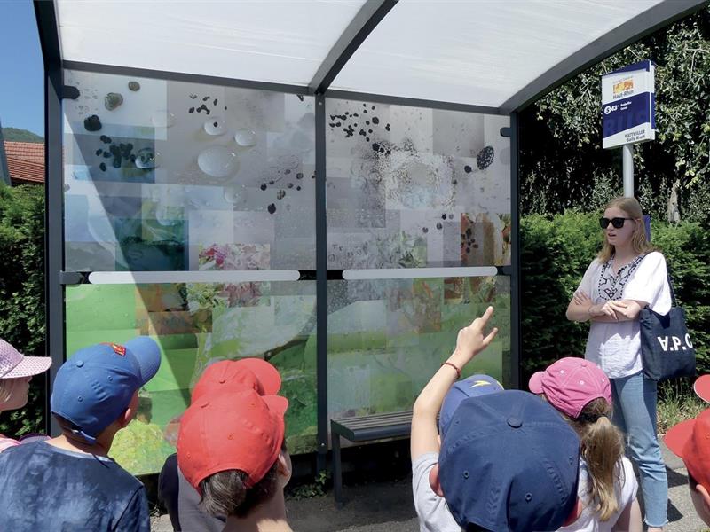 Activité visite accompagnée de la FEW