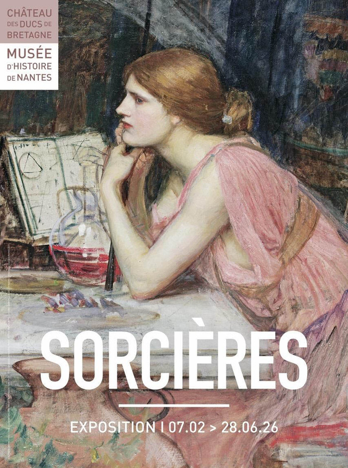 Anatomie d’une psychose collective : la chasse aux sorcières (15e-18e siècles) - Conférence par Ludovic VIALLET Amphi Kerneis (Fac de Médecine)