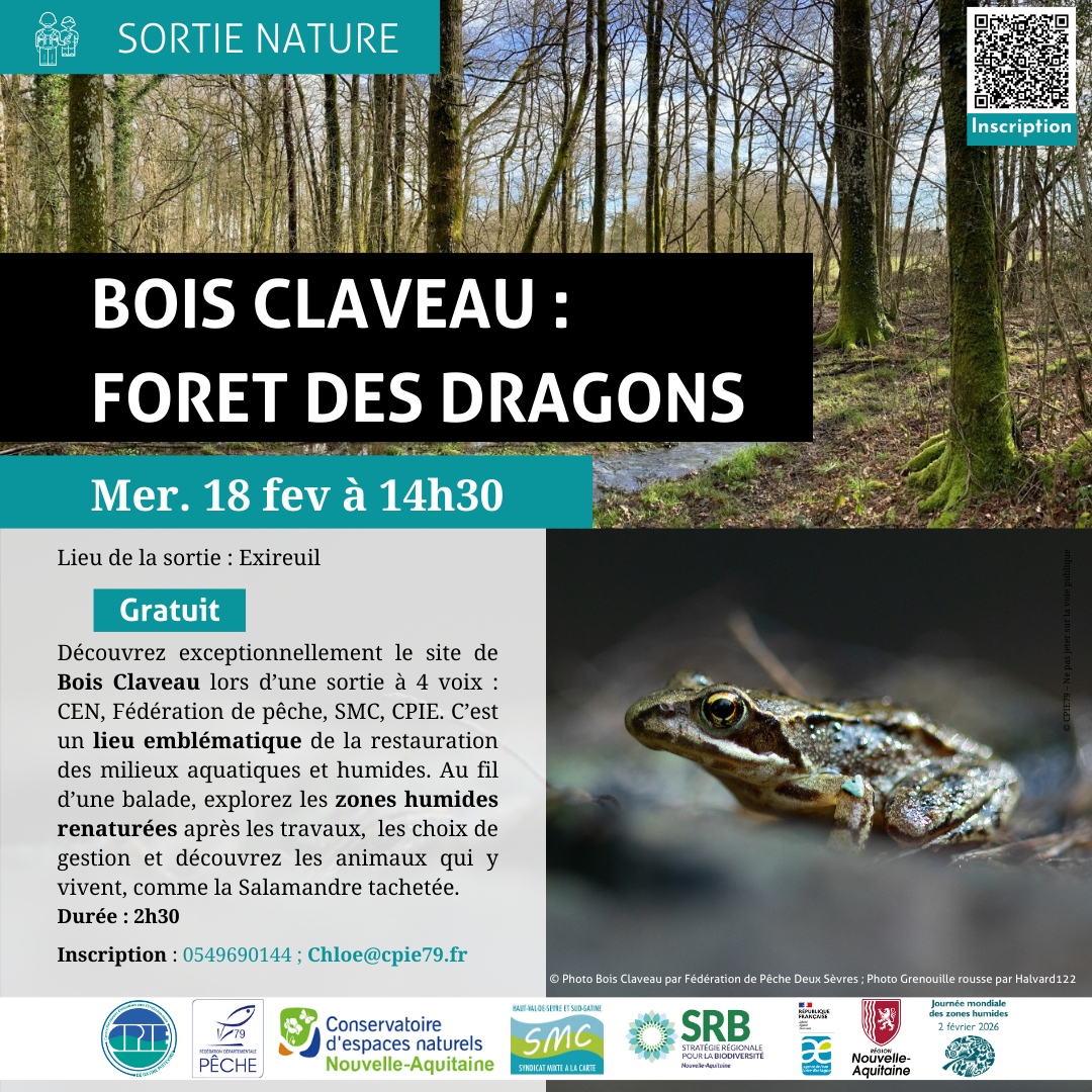 ANIMATION NATURE Bois Claveau Forêt des dragons