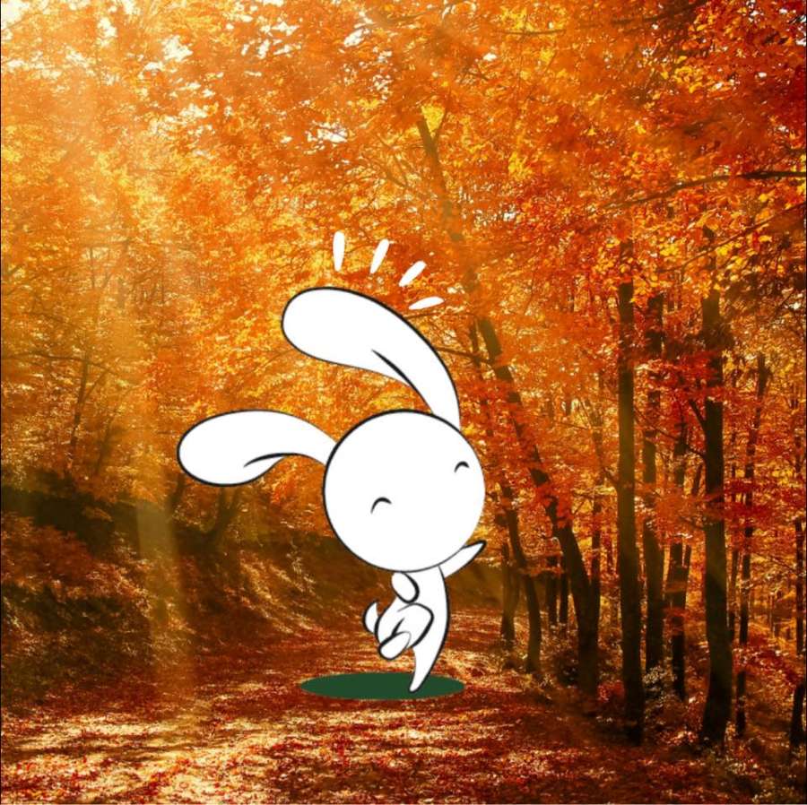 Animation nature en famille A vos souhaits