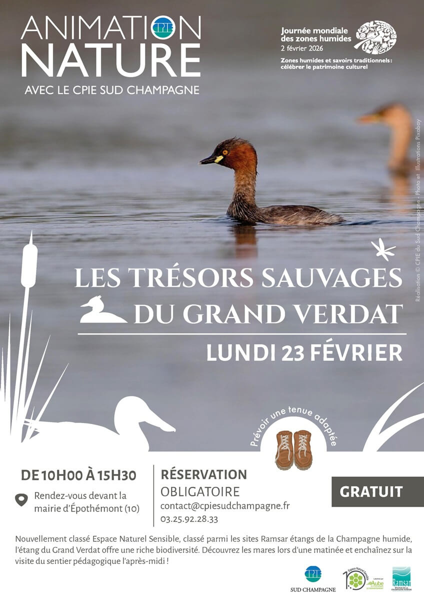 Animation nature Les trésors sauvages du Grand Verdat