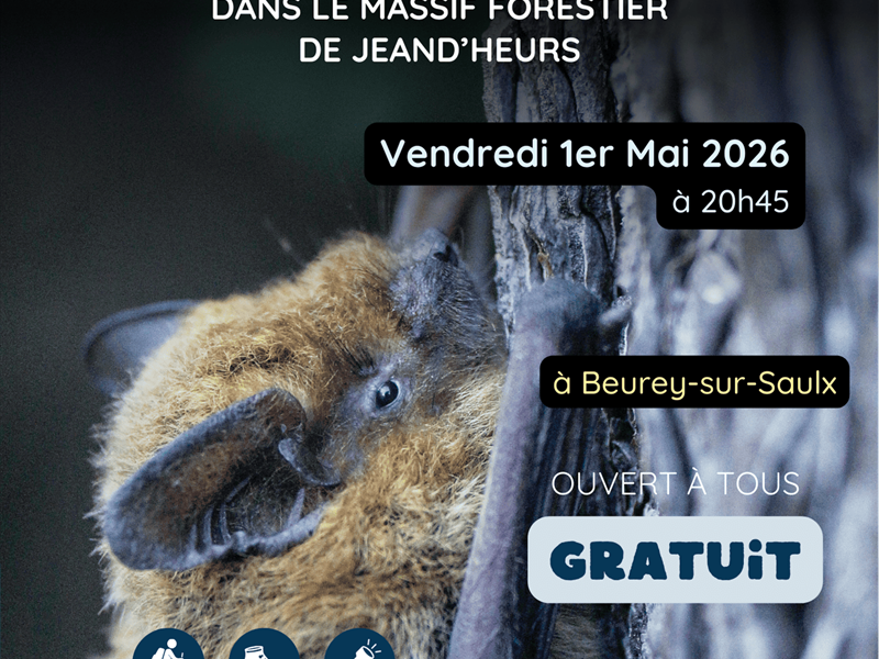 Animation nature mystères et voix de la nuit