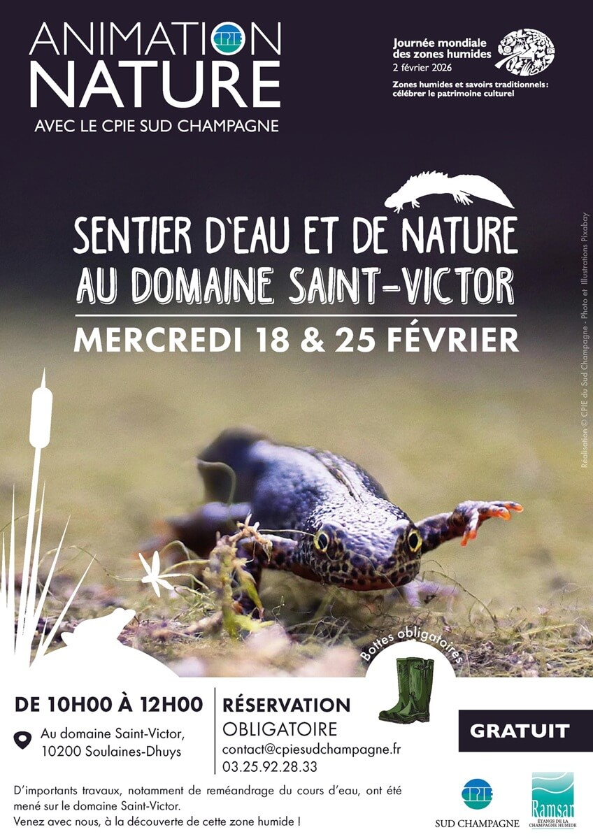 Animation nature Sentier d'eau et de nature