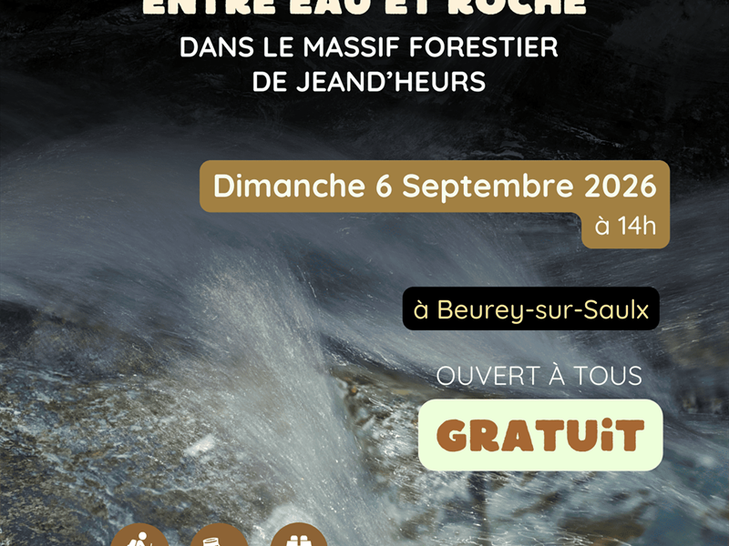 Animation nature une vie entre eau et roche