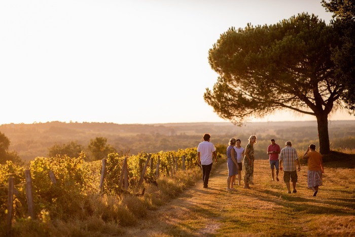 Arômes & Paysages : une expérience unique ! Place de la Mairie de Sauternes Preignac