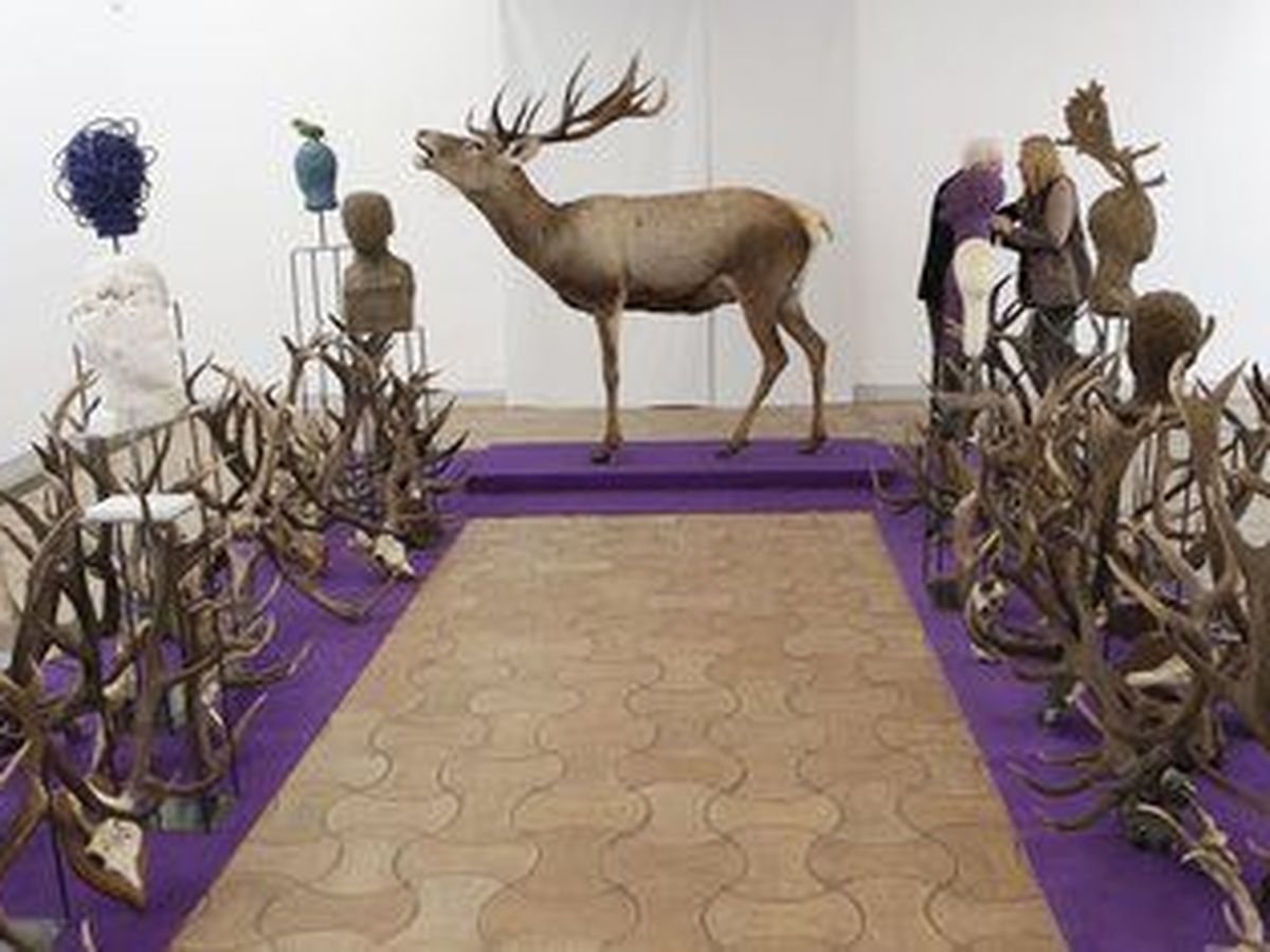 Installation Mammalia sous la Coupole - Galeries Lafayette