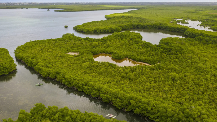 Atelier AN-T ATELIER AN-T Morne-à-l'Eau