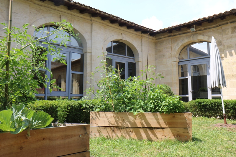 Atelier couleur végétale à la médiathèque de St André Médiathèque Saint-André-de-Cubzac 2026-03-21 Atelier couleur végétale à la médiathèque de St André