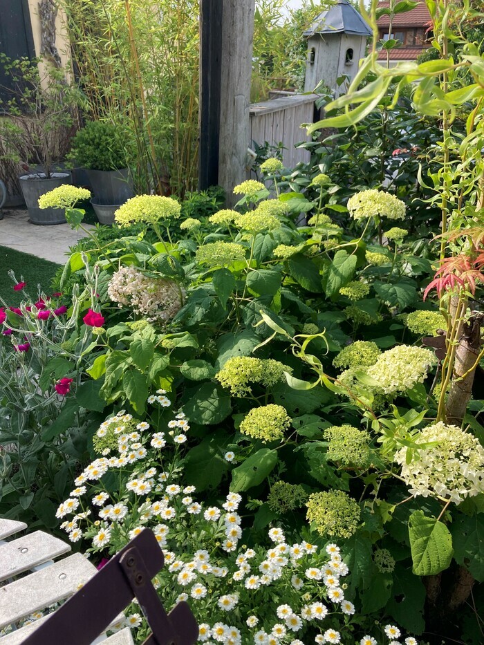 Atelier "Créer un jardin de fleurs à bouquets" Métropole Rouen Normandie Rouen