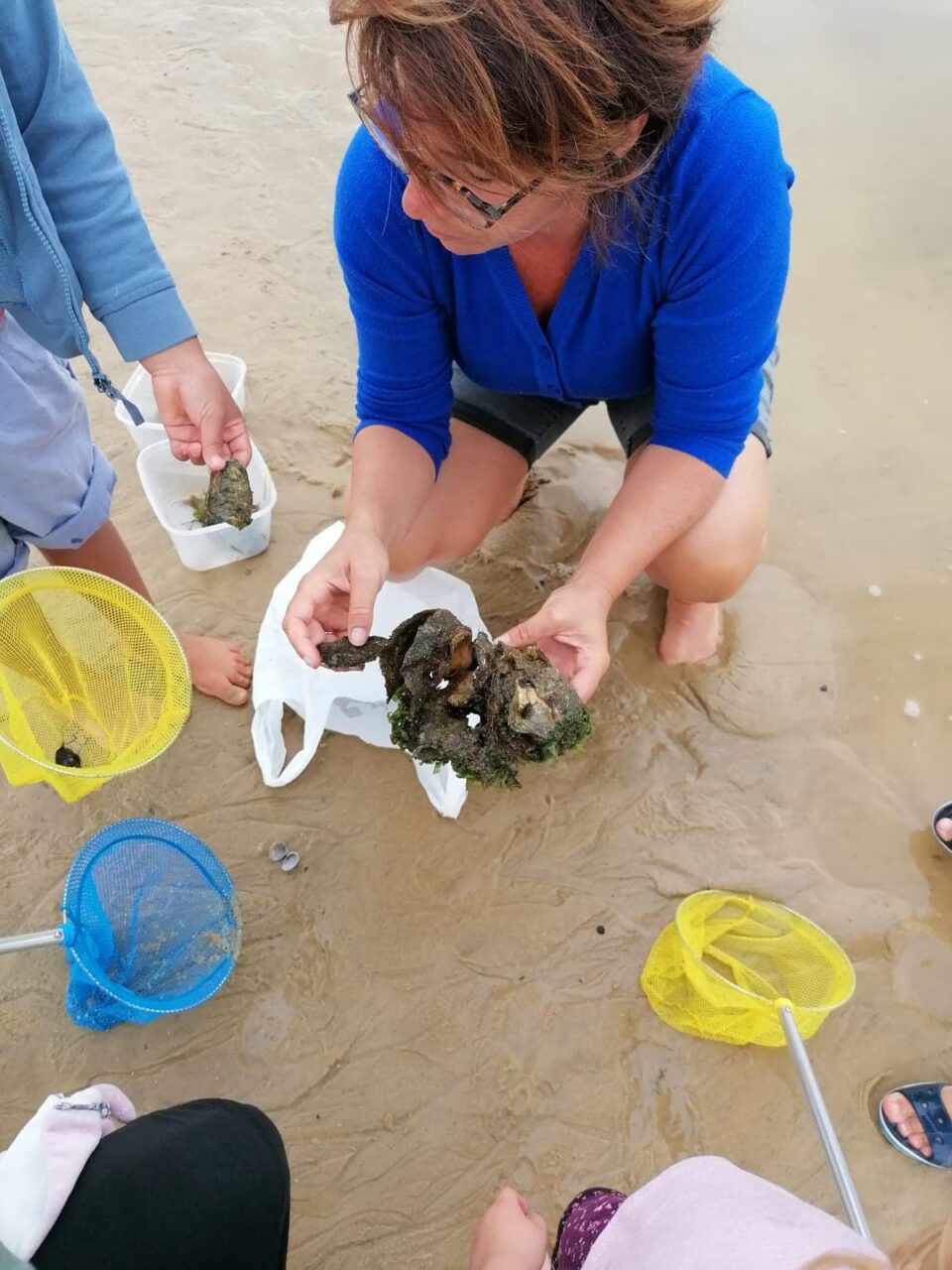 Atelier pêche à pied  Vieux-Boucau-les-Bains