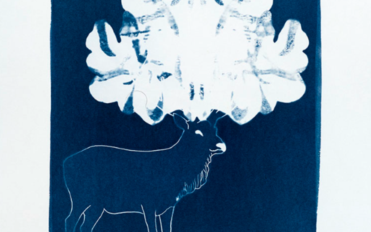 Atelier de pratique en famille – Du portrait au cyanotype avec Elisabeth Schneider Maison Européenne de la Photographie  Paris