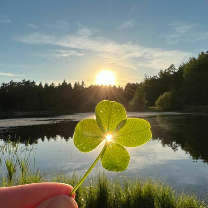Atelier décor sur porcelaine - Amulette chargée en énergie Musée national Adrien Dubouché Limoges