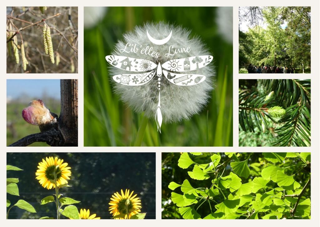 Atelier découverte de la gemmothérapie Neuvic 2026-04-04 Atelier découverte de la gemmothérapie