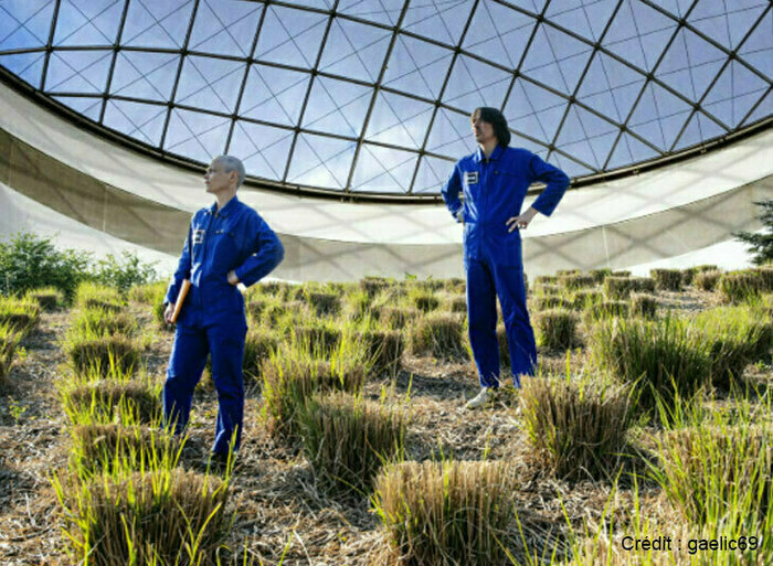 Atelier d’écriture théâtrale Médiathèque Grand M Toulouse