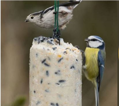 Atelier Miam Miam pour les piafs