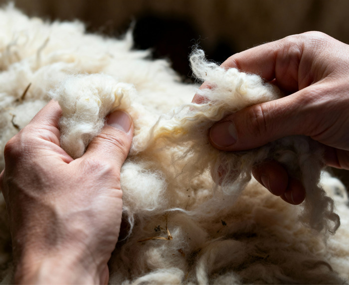 Atelier « Wool & Wine » – Swiss Woolness Wellness Espace Léman Genève