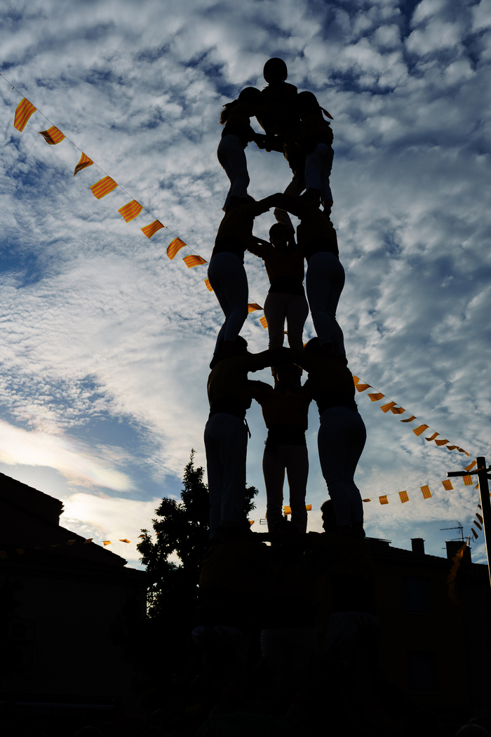 Avda Lluís Companys