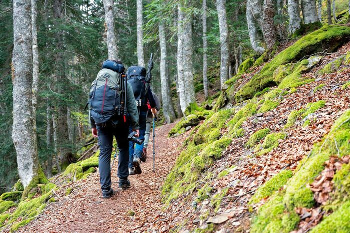 Aventure photo Bouquetin des Pyrénées Arrens-Marsous Arrens-Marsous