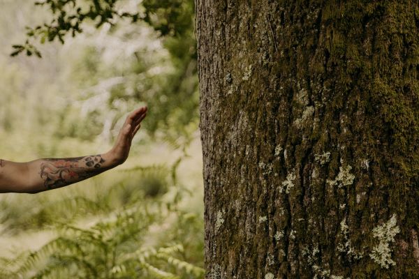 Bain de forêt Quiétude et nature