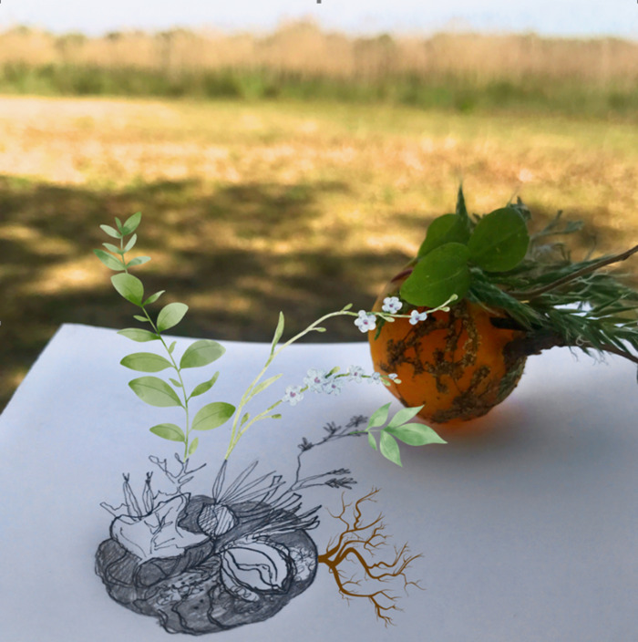 Balade artistique : Graine printanière Martignas-sur-Jalle - Lieu de départ communiqué par l'association à l'inscription Martignas-sur-Jalle