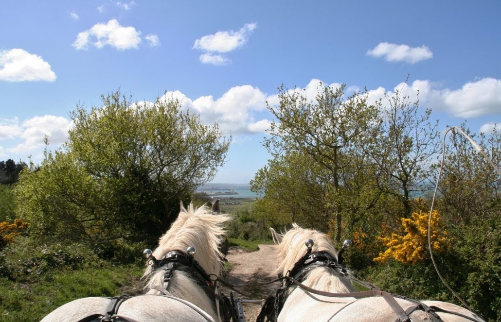 Balade attelée sur les hauteurs de Cherbourg