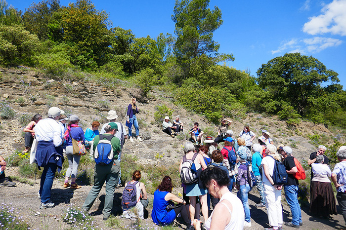 Balade botanique Centre national de Pomologie Alès