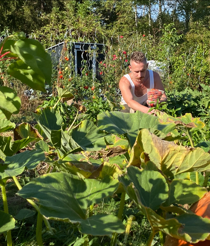 Balade dans "Le coin vert de Stéphane" Le coin vert de Stéphane Ingwiller