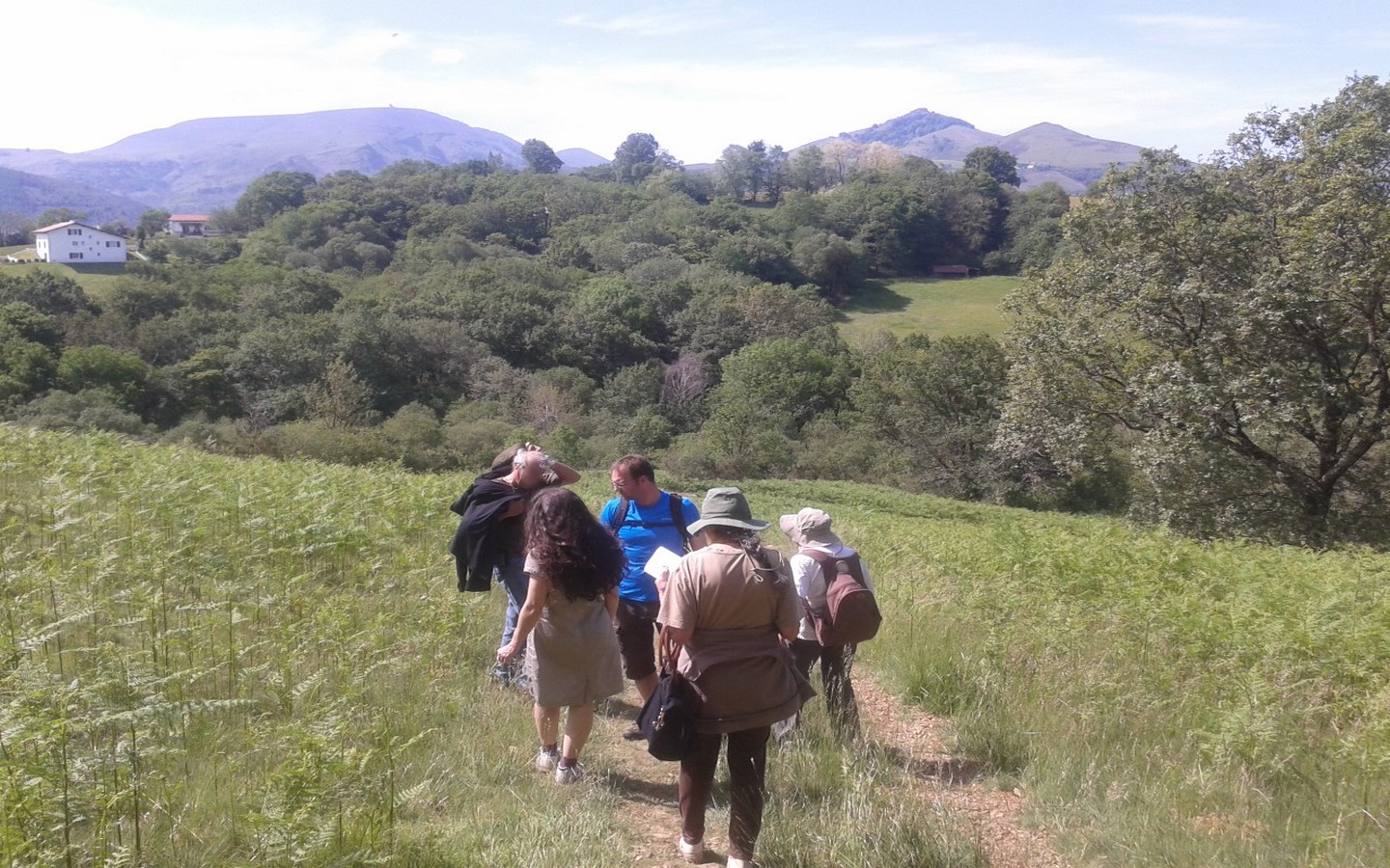 Balade Les arbres de la bergerie