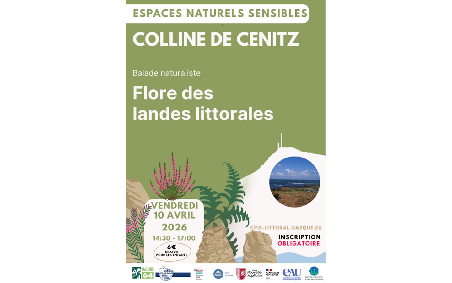 Balade naturaliste flore des landes littorales sur la colline de Cénitz