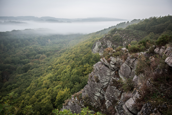 Balade nature en famille Accueil du festival