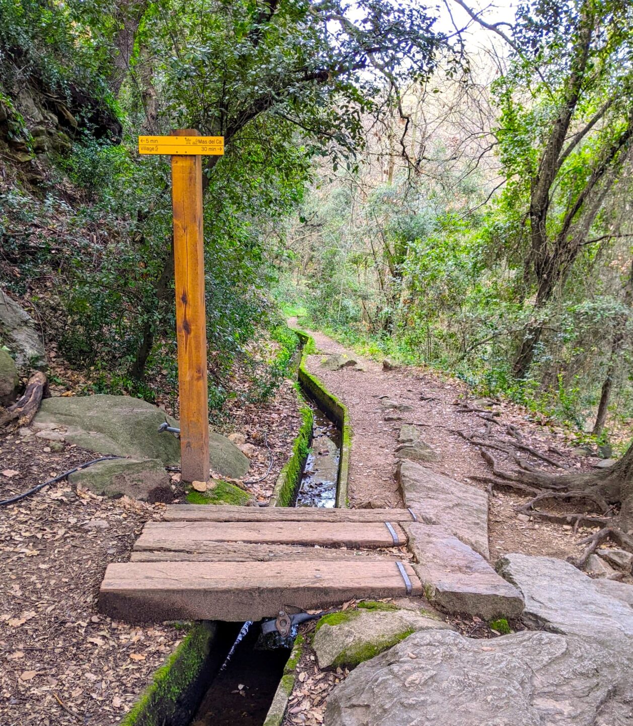 BALADE NATURE ET PATRIMOINE LA FORGE MURMURE