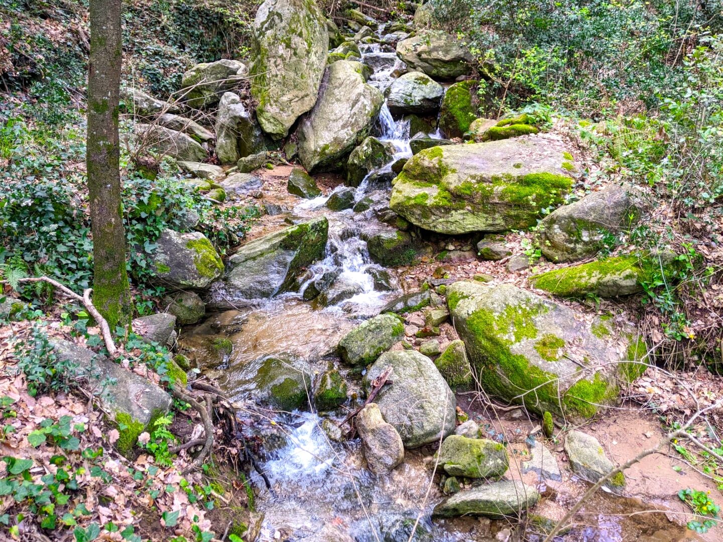 BALADE NATURE ET PATRIMOINE LA FORGE MURMURE
