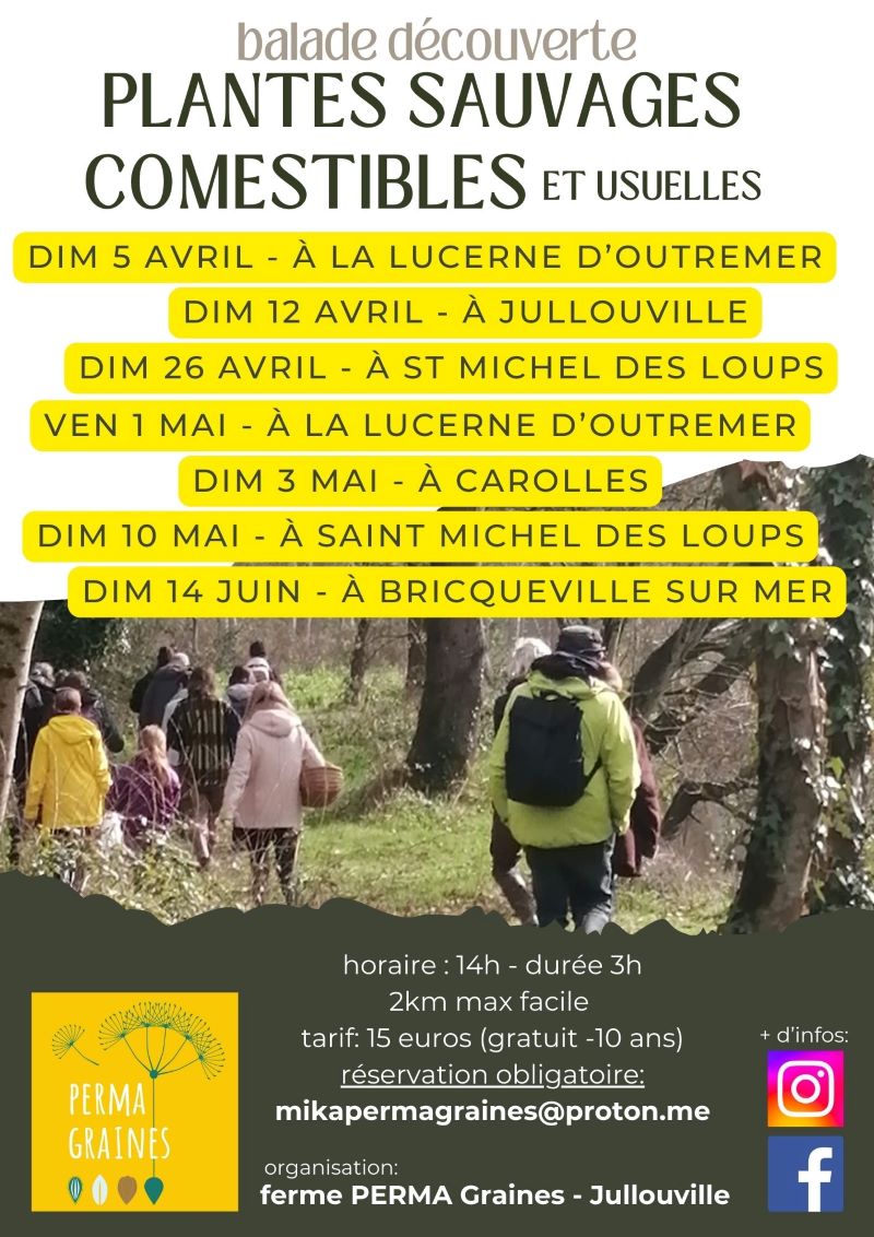 Balade plantes sauvages comestibles La Lucerne-d’Outremer 2026-05-01 Balade plantes sauvages comestibles