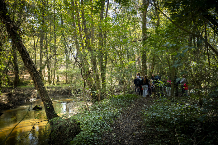 Balade sauvage Martignas-sur-Jalle - Lieu de départ communiqué par l'association à l'inscription Martignas-sur-Jalle